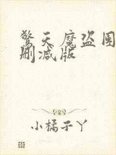 惊天魔盗团2未删减版