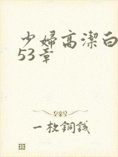 少妇高洁白义第53章封面