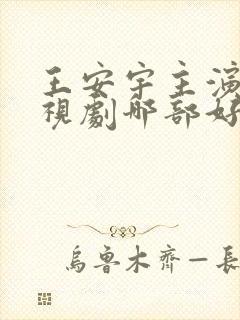 王安宇主演的电视剧哪部好看