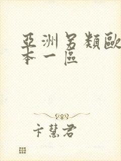 亚洲另类欧美日本一区