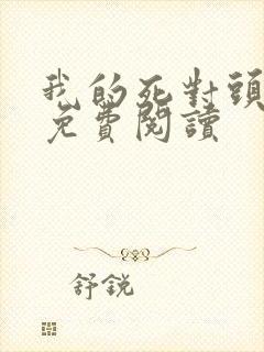 我的死对头小说免费阅读