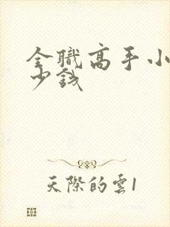 全职高手小说多少钱