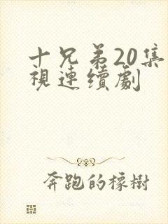十兄弟20集电视连续剧