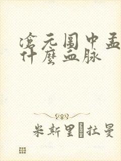 沧元图中孟川是什么血脉