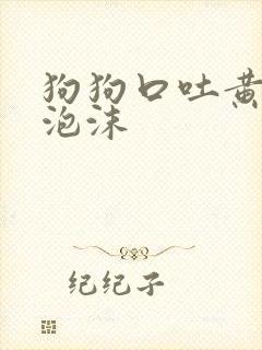 狗狗口吐黄水带泡沫封面