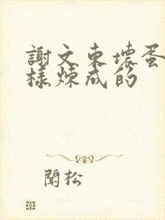 谢文东坏蛋是怎样炼成的封面