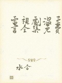 电视剧温柔的谎言全集免费观看