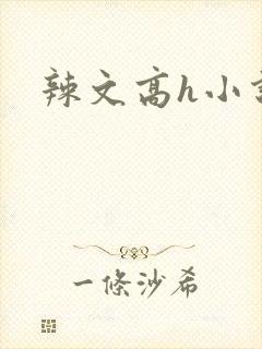 辣文高h小说封面