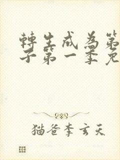 转生成为第七王子第一季免费观看封面