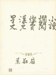 星汉灿烂小说全文免费阅读封面