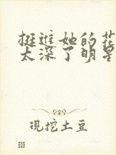 挺进她的花苞啊太深了明星小说封面