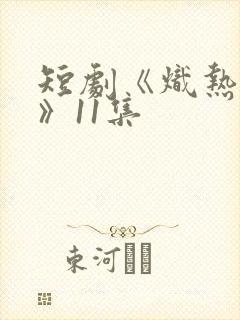 短剧《炽热吸引》11集