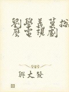 刘学义莫总是什么电视剧封面