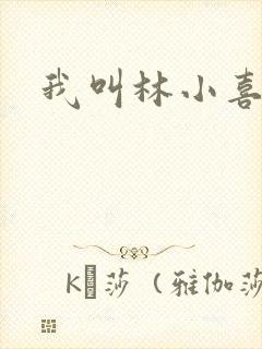 我叫林小喜17封面