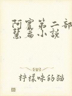 阿宾第二部之钰慧篇小说