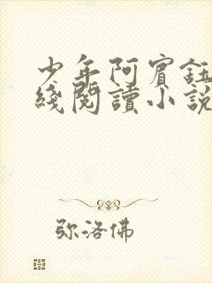 少年阿宾钰慧在线阅读小说txt