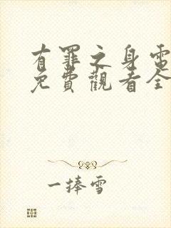 有罪之身电视剧免费观看全集超清