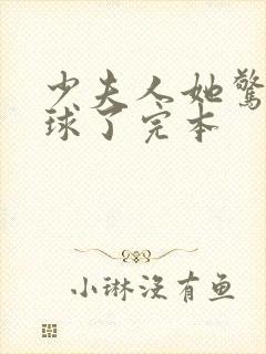 少夫人她惊艳全球了完本封面