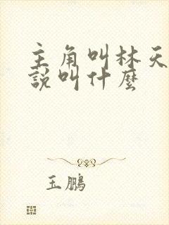 主角叫林天的小说叫什么封面