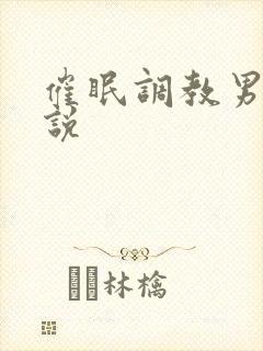 催眠调教男男小说封面