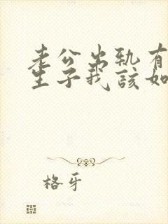 老公出轨有了私生子我该如何处理