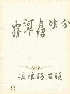 山河月明分集剧情介绍封面