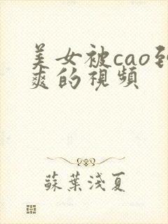 美女被cao到爽的视频