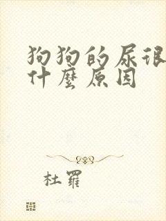 狗狗的尿很黄是什么原因