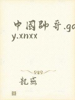 中国帅哥.gay.xnxx