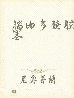 脑内多发腔隙梗塞