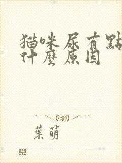 猫咪尿有点红是什么原因封面