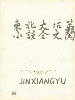 东北大坑第二部小说全文阅读封面