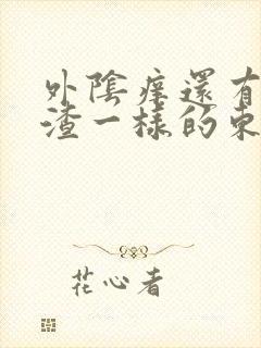 外阴痒还有豆腐渣一样的东西