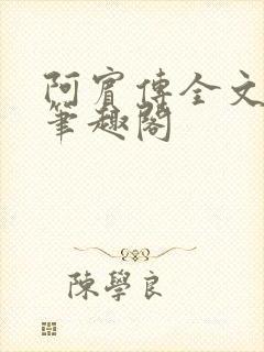 阿宾传全文阅读笔趣阁