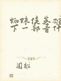 蜘蛛侠英雄远征下一部看什么封面