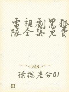 电视剧黑狐突击队全集免费观看