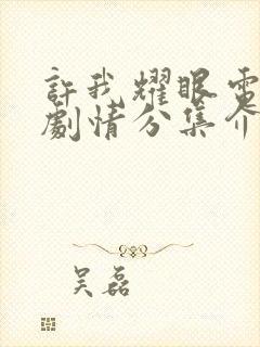 许我耀眼电视剧剧情分集介绍