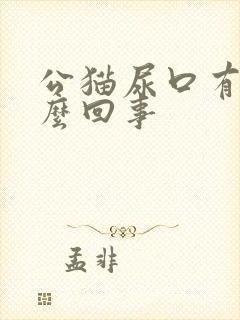 公猫尿口有血怎么回事