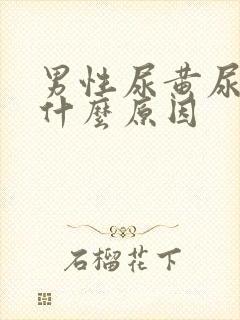 男性尿黄尿多是什么原因