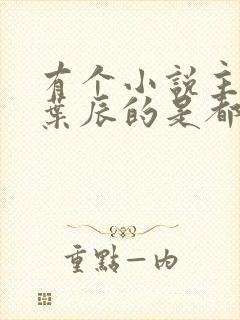 有个小说主角叫叶辰的是都市什么小说