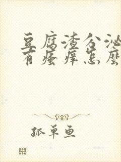 豆腐渣分泌物伴有瘙痒怎么用药