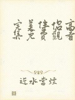 完美伴侣高清全集免费观看