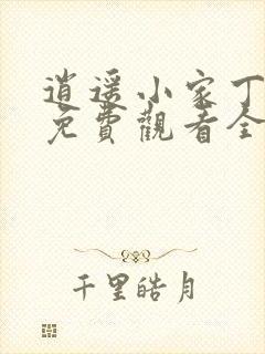 逍遥小家丁短剧免费观看全集