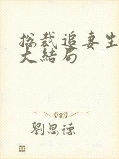 总裁追妻生子记大结局封面