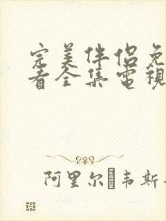 完美伴侣免费观看全集电视剧