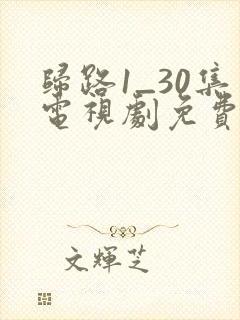 归路1_30集电视剧免费观看