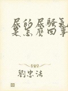 尿的尿骚气太重是怎么回事封面