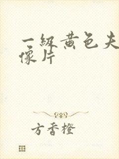 一级黄色夫妻录像片