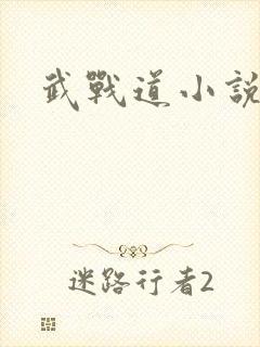 武战道小说