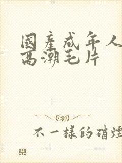 国产成年人午夜高潮毛片